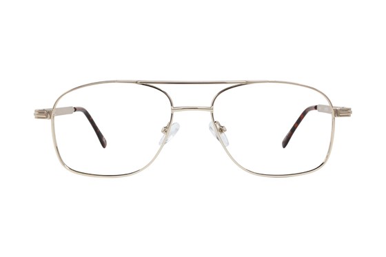 Lunettos Evan Gold Glasses